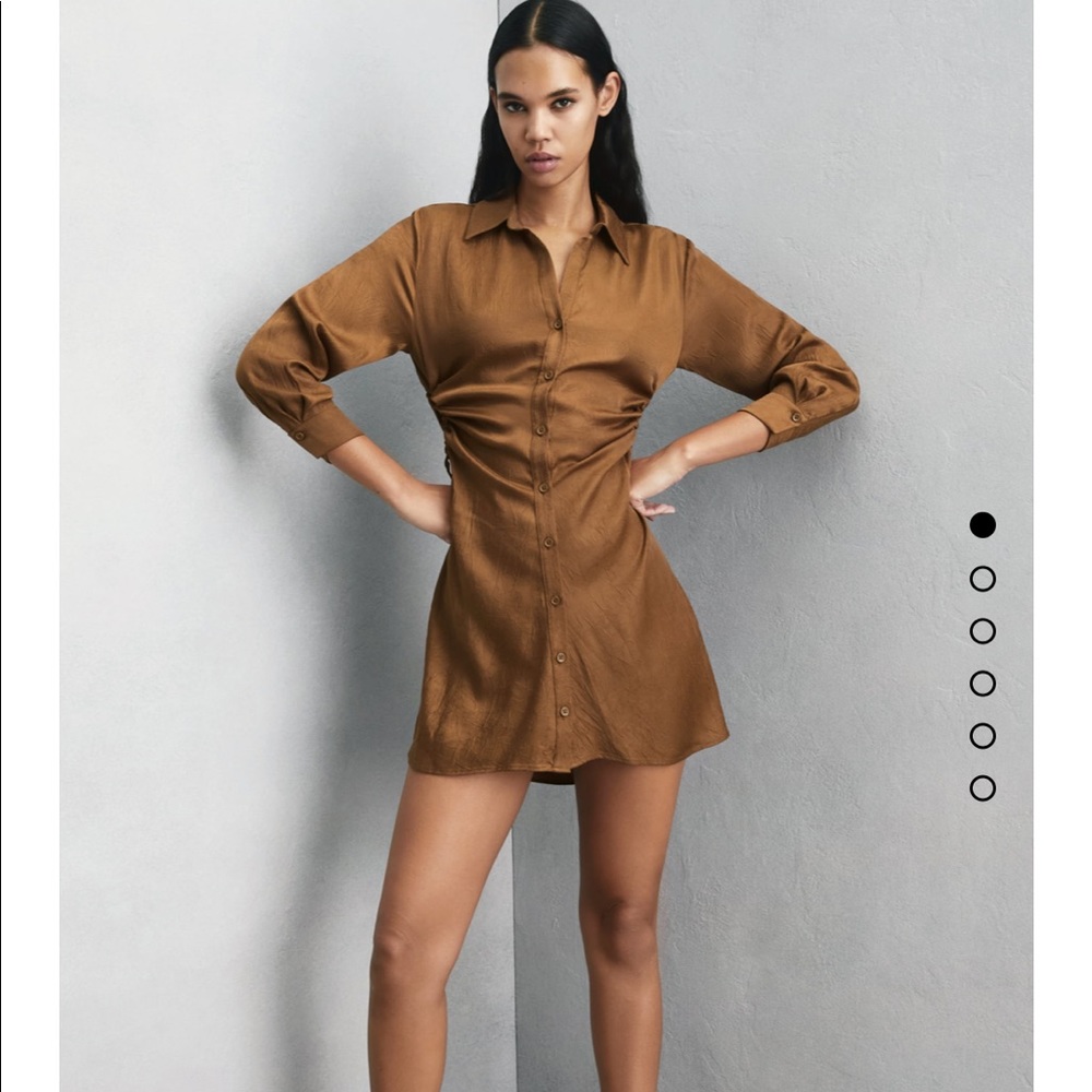 NWT Zara Dress